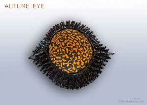 AUTUMN EYE